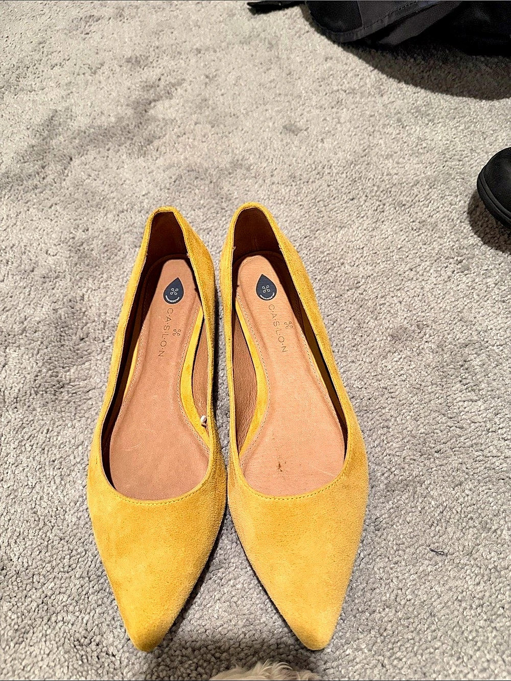 Caslon  Point Pointed-Toe Flats in Yellow